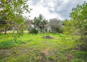 Giardino - Villa Caltagirone - foto 11