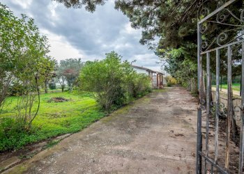 Giardino - Villa Caltagirone - foto 4