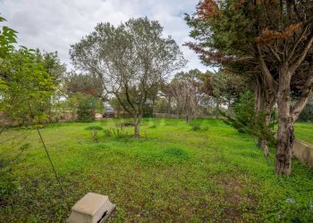 Giardino - Villa Caltagirone - foto 16