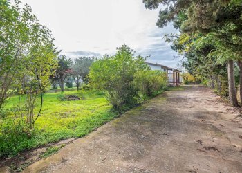 Giardino - Villa Caltagirone - foto 17