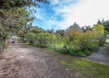 Giardino - Villa Caltagirone - foto 31