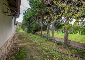 Giardino - Villa Caltagirone - foto 40