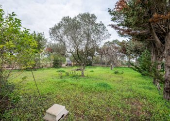 Giardino - Villa Caltagirone - foto 44