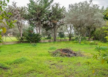 Giardino - Villa Caltagirone - foto 48