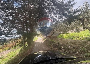 Giardino - Casa semi indipendente Contrada Sant'Antonio
 
snc, Fiumedinisi - foto 9