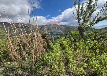 Vista delle montagne - Casa semi indipendente Contrada Sant'Antonio
 
snc, Fiumedinisi - foto 22