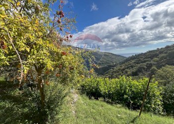 Vista delle montagne - Casa semi indipendente Contrada Sant'Antonio
 
snc, Fiumedinisi - foto 23