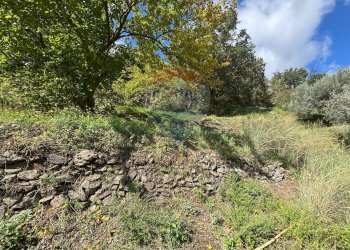 Giardino - Casa semi indipendente Contrada Sant'Antonio
 
snc, Fiumedinisi - foto 25