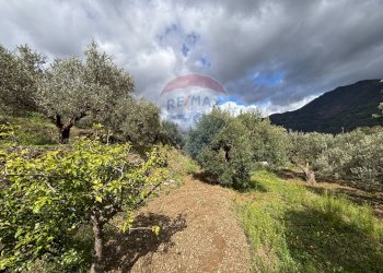 Vista delle montagne - Casa semi indipendente Contrada Sant'Antonio
 
snc, Fiumedinisi - foto 55