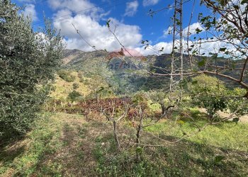 Vista delle montagne - Casa semi indipendente Contrada Sant'Antonio
 
snc, Fiumedinisi - foto 91