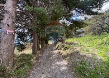 Giardino - Casa semi indipendente Contrada Sant'Antonio
 
snc, Fiumedinisi - foto 94