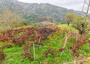 Vista delle montagne - Casa semi indipendente Contrada Sant'Antonio
 
snc, Fiumedinisi - foto 138