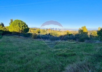 Giardino - Quadrilocale Via San Salvadore
 
46, Lastra a Signa - foto 6