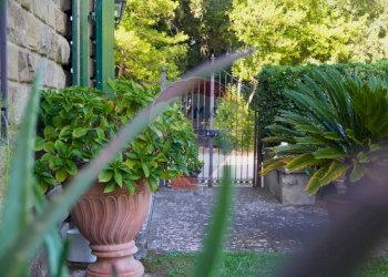 Giardino - Casa semi indipendente Via Delle Selve, Lastra a Signa - foto 6
