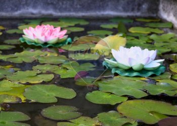 Dettagli - Casa semi indipendente Via Delle Selve, Lastra a Signa - foto 8