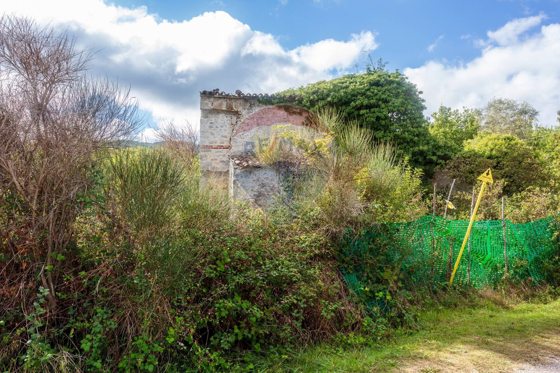 Esterno immobile - Rustic Via del Bollore
36, Castiglione d'Orcia - photo 3