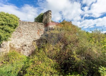 Esterno immobile - Rustico Via del Bollore
 
36, Castiglione d'Orcia - foto 5