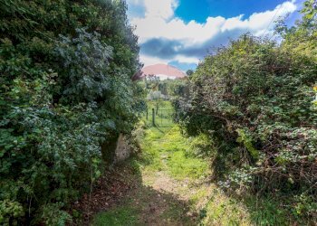 Esterno immobile - Rustico Via del Bollore
 
36, Castiglione d'Orcia - foto 15