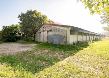 Casa all\'aperto - Rustico Via Case Sparse
 
15, Casalmaggiore - foto 34