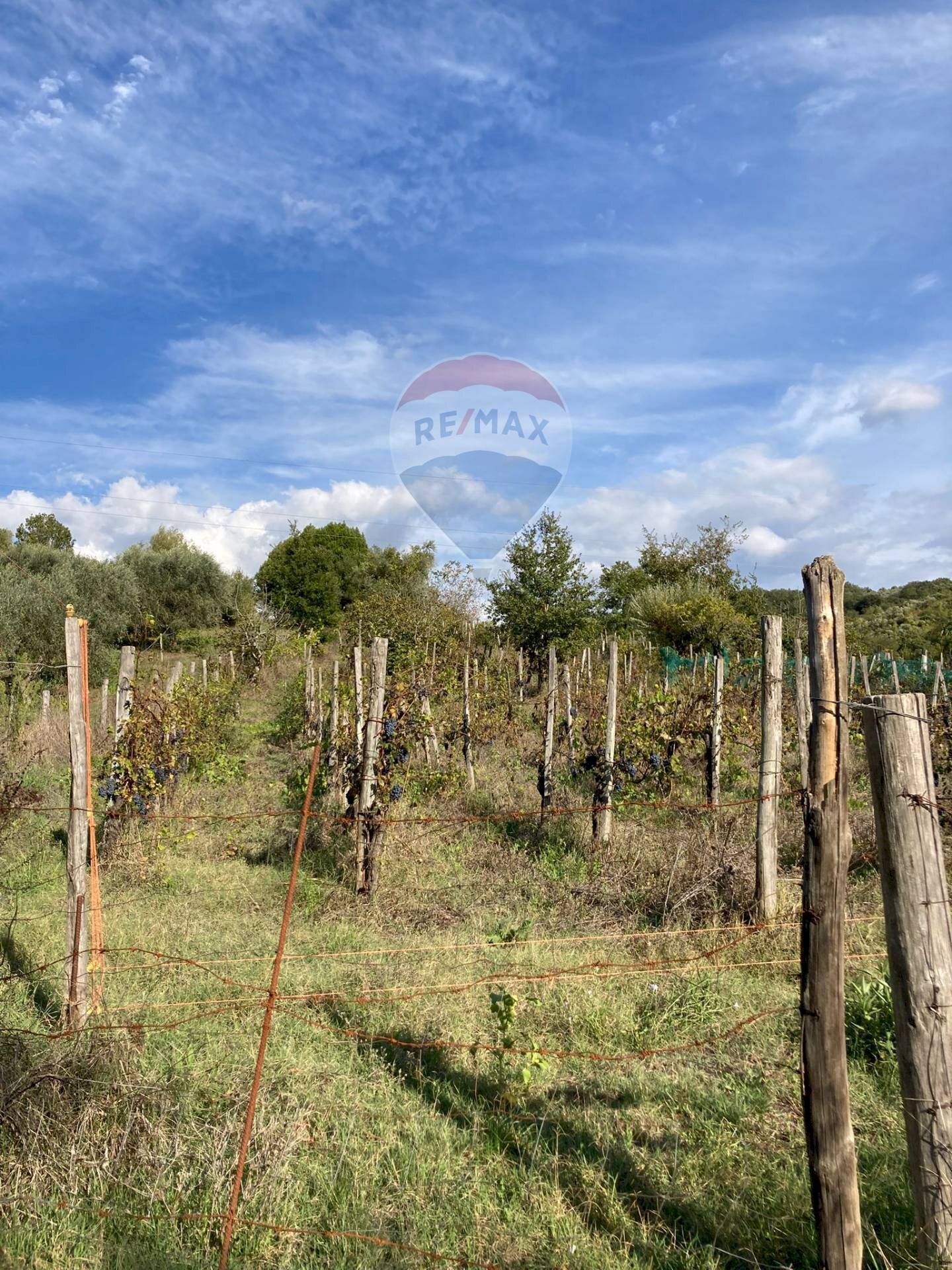 Giardino - Rustico Contrada  Giuprino, Felitto - foto 1