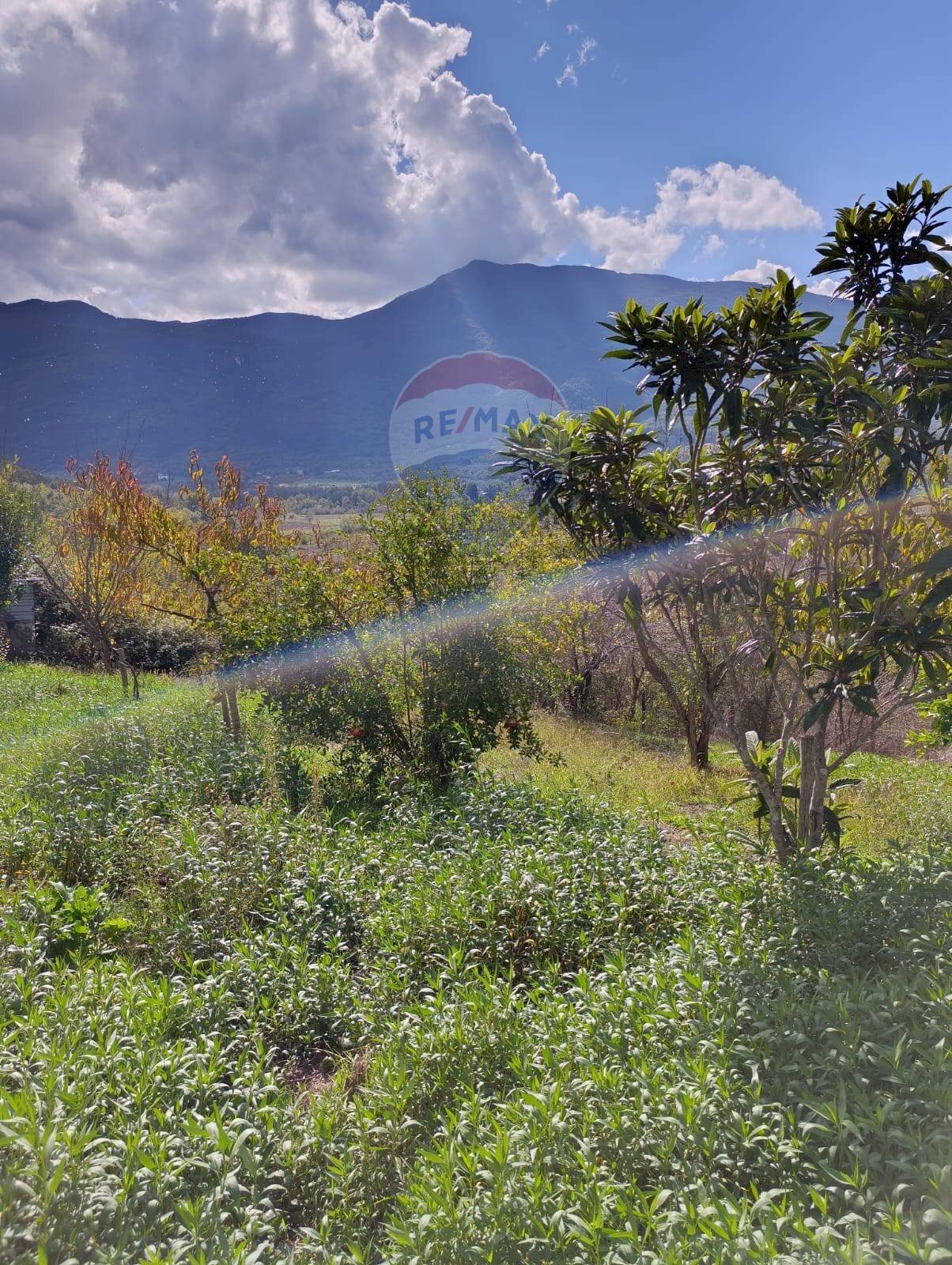 Vista delle montagne - Rustico Contrada  Giuprino, Felitto - foto 1