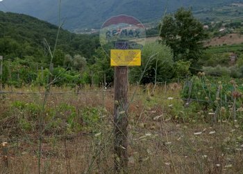 Vista delle montagne - Rustico Contrada  Giuprino, Felitto - foto 13