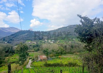 Vista delle montagne - Rustic Contrada  Giuprino, Felitto - photo 8