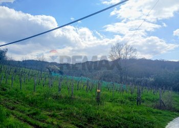 Vista delle montagne - Rustic Contrada  Giuprino, Felitto - photo 21