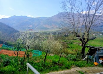 Vista delle montagne - Rustic Contrada  Giuprino, Felitto - photo 22