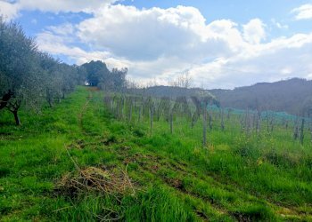 Vista delle montagne - Rustic Contrada  Giuprino, Felitto - photo 24