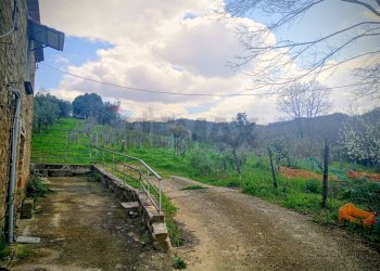Vista delle montagne - Rustic Contrada  Giuprino, Felitto - photo 26