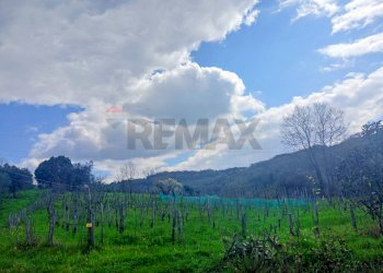 Vista delle montagne - Rustic Contrada  Giuprino, Felitto - photo 29