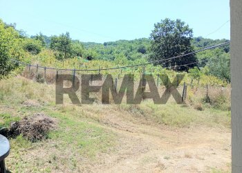 Vista delle montagne - Rustic Contrada  Giuprino
 
32, Felitto - photo 29
