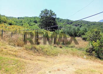 Vista delle montagne - Rustic Contrada  Giuprino
 
32, Felitto - photo 30
