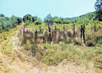 Vista delle montagne - Rustic Contrada  Giuprino
 
32, Felitto - photo 32