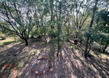 Foto 7 - Villa Via Foresta Primo tratto, Sezze - foto 7