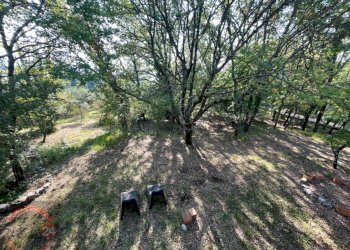 Foto 24 - Villa Via Foresta Primo tratto, Sezze - foto 24