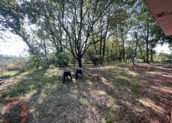 Foto 30 - Villa Via Foresta Primo tratto, Sezze - foto 30