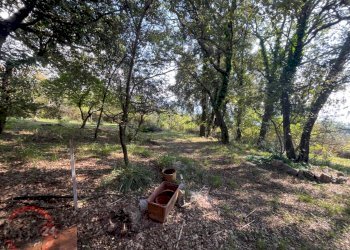 Foto 31 - Villa Via Foresta Primo tratto, Sezze - foto 31