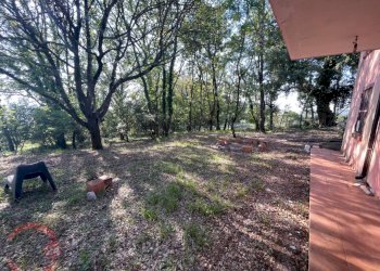 Foto 32 - Villa Via Foresta Primo tratto, Sezze - foto 32