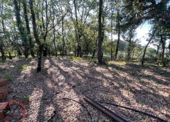 Foto 56 - Villa Via Foresta Primo tratto, Sezze - foto 56