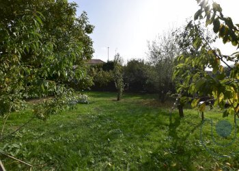 TERRENO - Terreno edificabile Strada Campo Archero, Chieri - foto 6