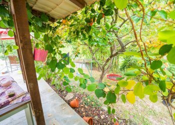 Foto 33 - Villa Ceriana - foto 33