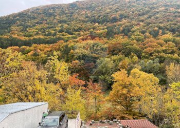 Vista delle montagne - Appartamento VIA BENEDETTO VIRGILIO
192, Villetta Barrea - foto 17