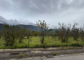 Foto 20 - Terreno edificabile mugnano del cardinale, Mugnano del Cardinale - foto 20