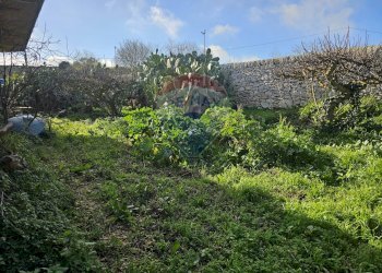 Giardino - Rustico Via Ettore fieramosca
 
242, Ragusa - foto 11
