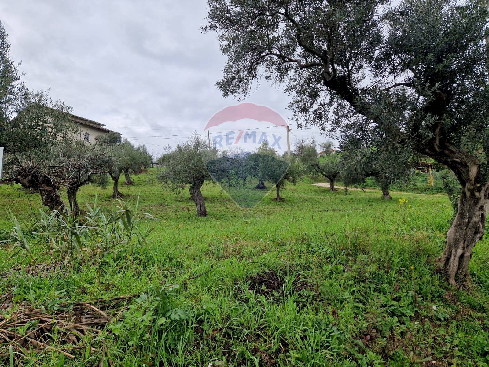 Giardino - Terreno edificabile Bucchianico - foto 2