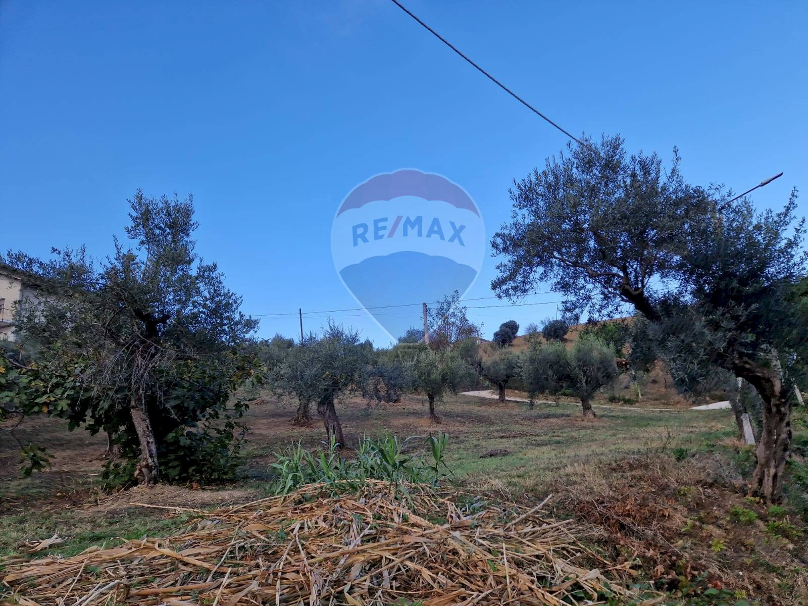 Giardino - Terreno edificabile Bucchianico - foto 3