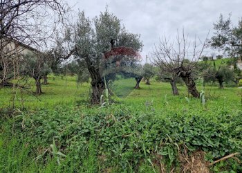 Giardino - Terreno edificabile Bucchianico - foto 1