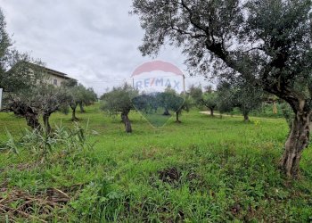 Giardino - Terreno edificabile Bucchianico - foto 2